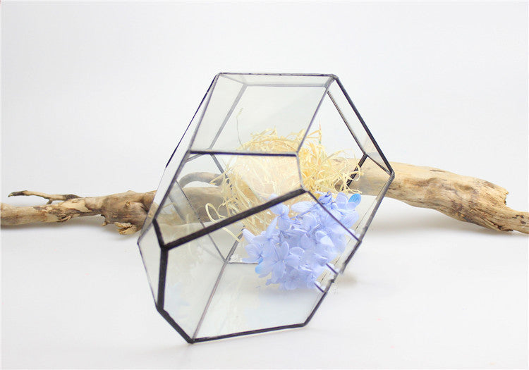 Plant eco bottle