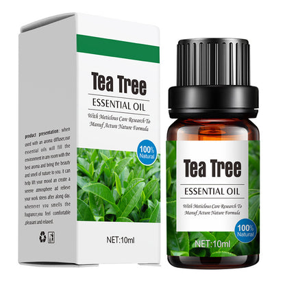 Aroma Diffuser Special Plant Sweet Orange Water-based Lavender Essential Oil 10ml