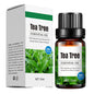 Aroma Diffuser Special Plant Sweet Orange Water-based Lavender Essential Oil 10ml