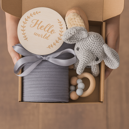 Baby Teething Toys Teether Gift Set