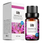Aroma Diffuser Special Plant Sweet Orange Water-based Lavender Essential Oil 10ml
