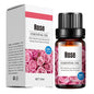Aroma Diffuser Special Plant Sweet Orange Water-based Lavender Essential Oil 10ml