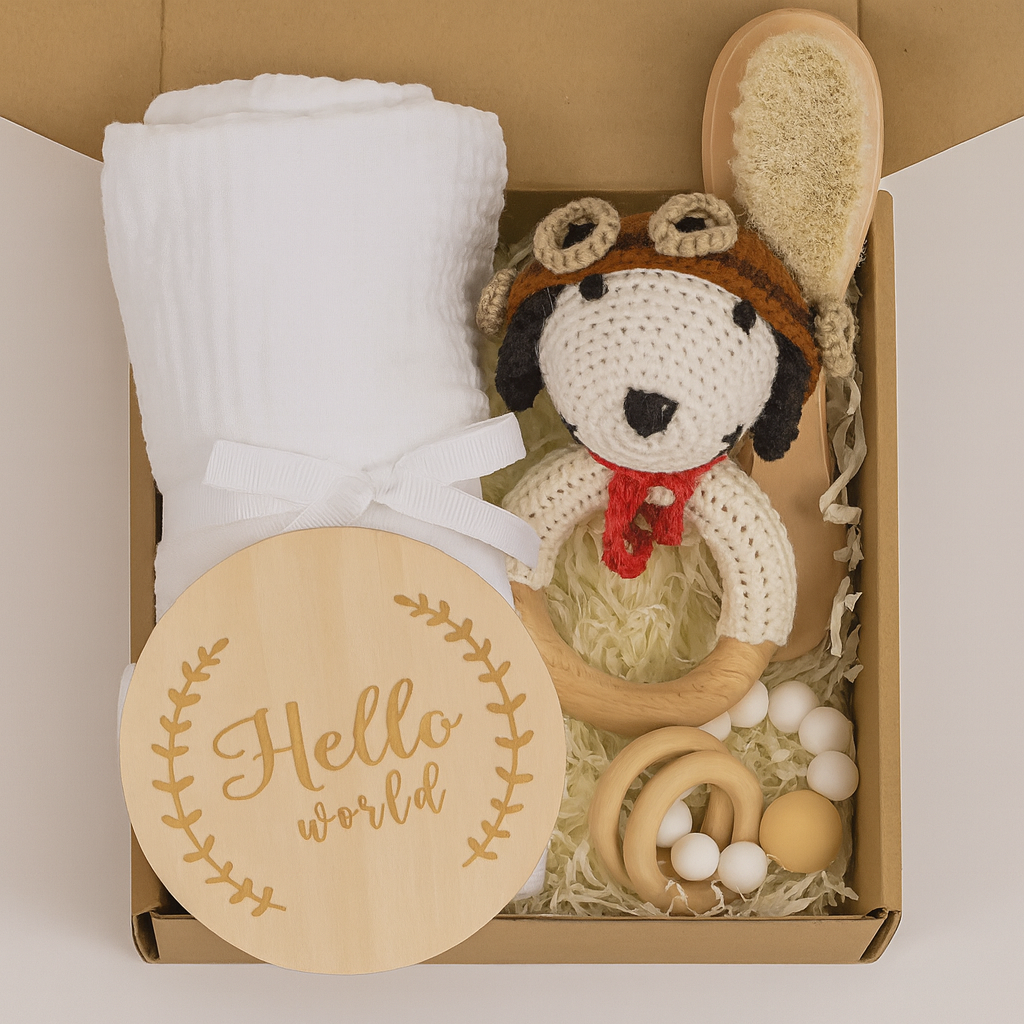 Baby Teething Toys Teether Gift Set
